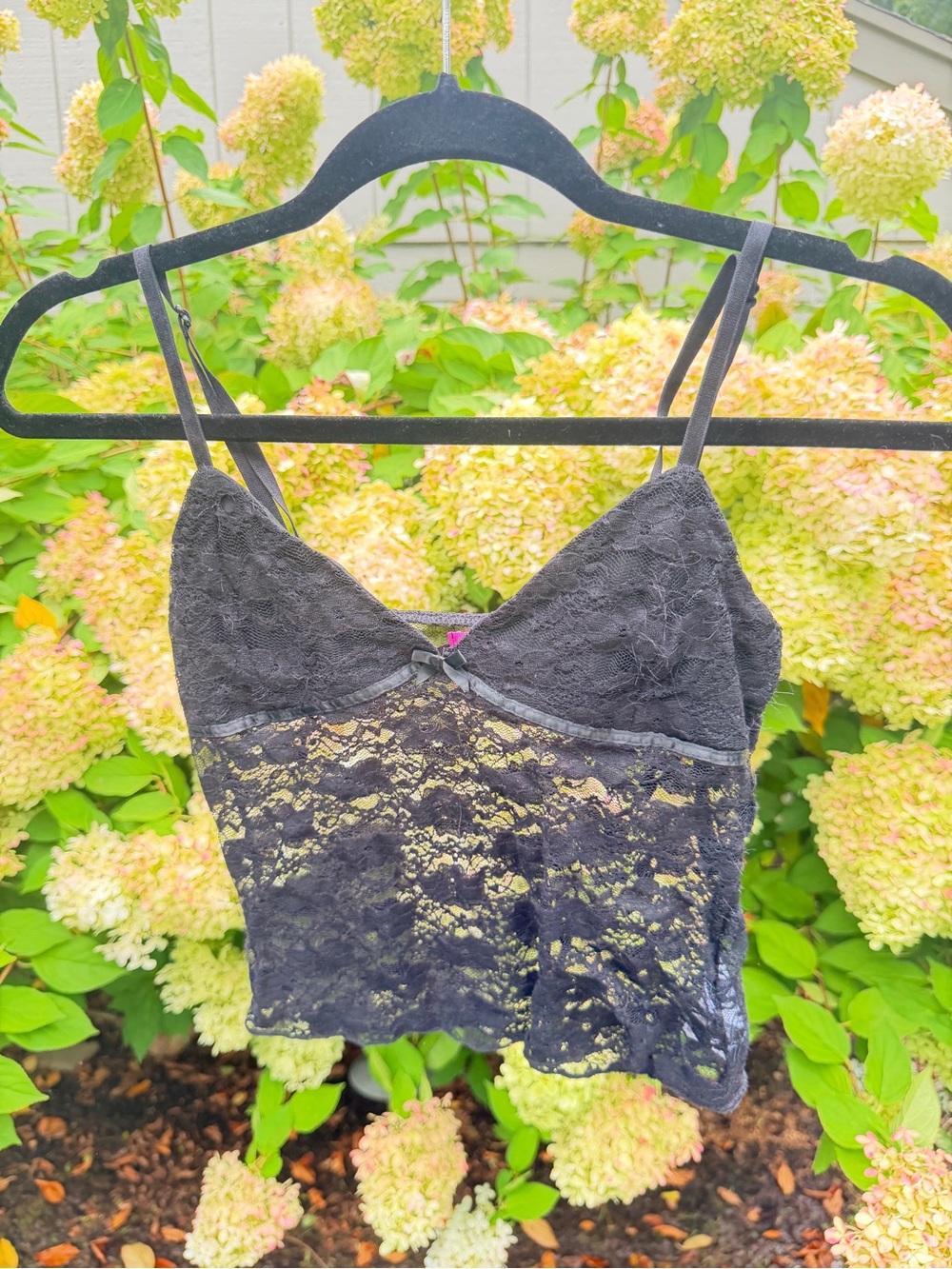 Edikted Black Lace Crop Camisole